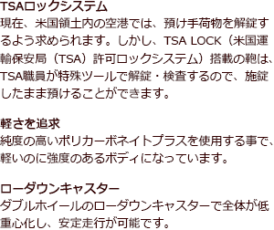 TSAロック付 バーマスプレステージ(大)