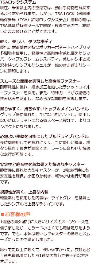 TSAロック付き フラクティ ファスナー式(大)