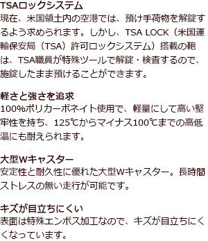 TSAロック付き デルセーセグー ファスナー式(大)