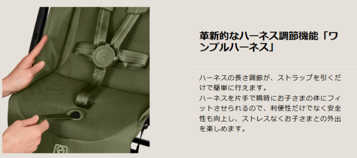 【NEW！】サイベックス　リベル２０２５