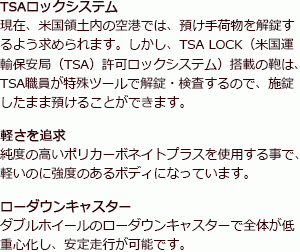 TSAロック付 バーマスプレステージ(特大)